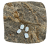 South Sea Earrings