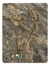 Headed West Charm Necklace